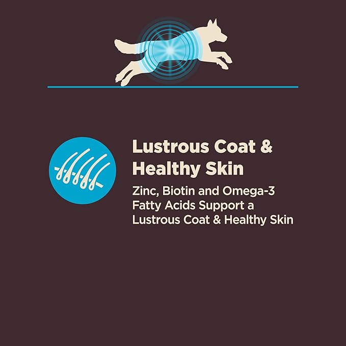 Wellness CORE Digestive Health Adult Dry Dog Food, Wholesome Grain Kibble, Sensitive Stomach, Natural, High Protein, Chicken Free, Whitefish and Brown Rice Recipe, 22 lb Bag
