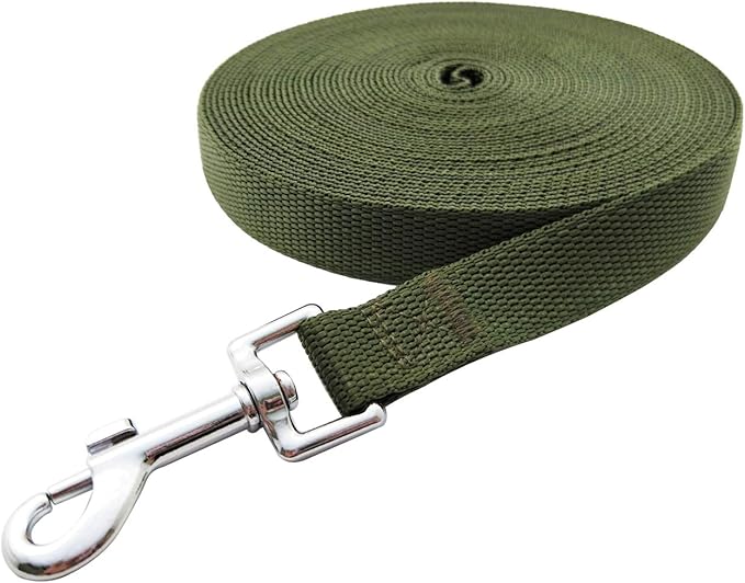 Nylon Training Dog Leash for Small Medium Large Dogs, 15ft 20ft 30ft 50ft Long Leash Dog/Puppy Lead for Obedience Recall Training, Camping (1" x 50ft, Green)