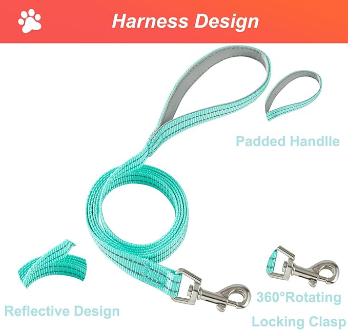 Hipubby Dog Harness Small Sized and Leash Set, No Pull Soft Mesh Puppy Vest, Reflective Breathable Lightweight Pet Harness, Harness for Small Medium Dogs and Cats - Pink Green, XS