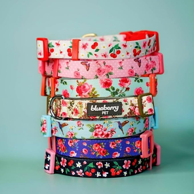 Blueberry Pet Essentials Spring Scent Inspired Garden Floral Adjustable Dog Collar in Baby Pink, Large, Neck 18"-26"