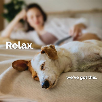 Melatonin Calming Soft Chews for Dogs, Vet-Formulated to Provide Relaxation & Anxiety Relief, Helps Reduce Stress & Tension-Supports Healthier Skin & Coat.120 Tasty Soft Chews.