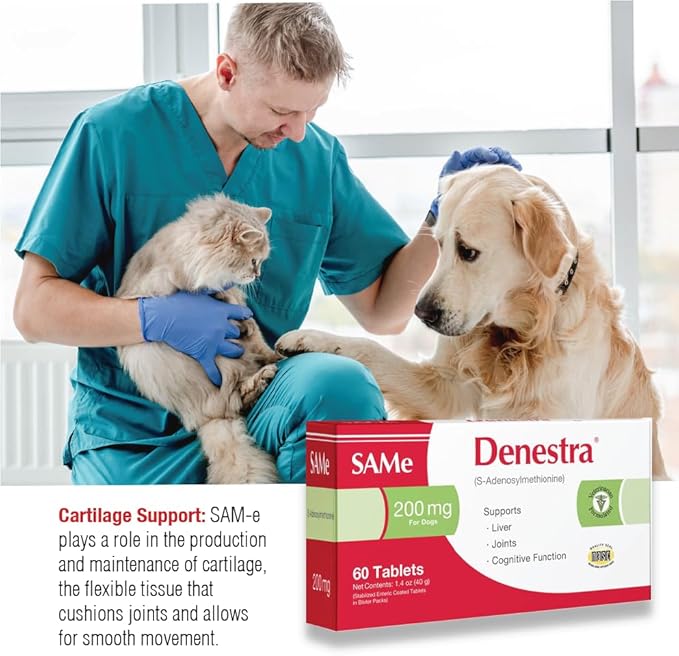 Denestra Same for Dogs – S-Adenosyl-L-Methionine (Same) – Liver, Joint & Cognitive Support for Dogs – Promotes Brain Function & Mobility – Vet-Approved Formula – 200 mg – 60 Tablets
