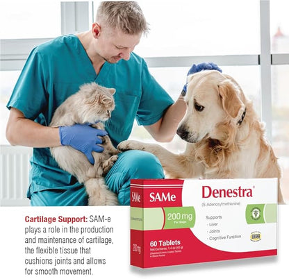 Denestra Same for Dogs – S-Adenosyl-L-Methionine (Same) – Liver, Joint & Cognitive Support for Dogs – Promotes Brain Function & Mobility – Vet-Approved Formula – 200 mg – 60 Tablets