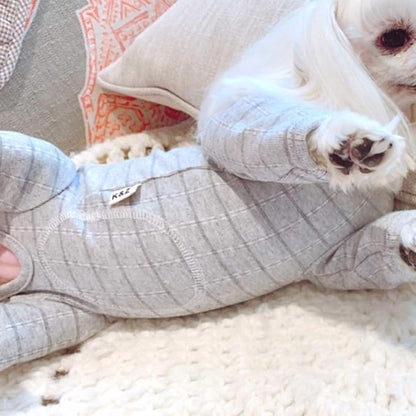 Recovery Suit for Dog After Surgery Cut Pet Recovery Shirt Dog Abdominal Wounds Bandages,Wound Protective Full Coverage Dog's Bodysuit for surgery Female Dog Prevent Licking(RSS08-Fgrey-M+)