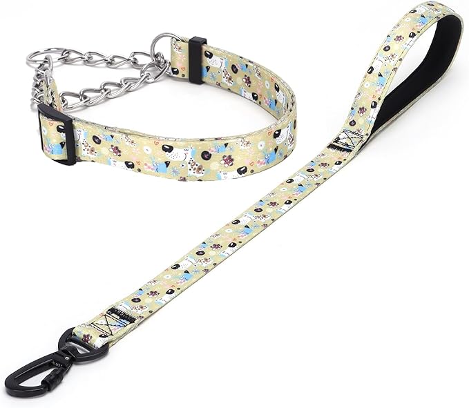Martingale Dog Collar and Leash Set, Stainless Steel Chain, No Pull Training Collar with Flower Design, for Small, Medium, Large Dogs (NO14, L)
