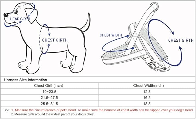 Blueberry Pet 4 Colors Soft & Comfy 3M Reflective Jacquard Padded Dog Harness, Chest Girth 21.5" - 27.5", Palace Blue, S/M, Adjustable Harnesses for Dogs