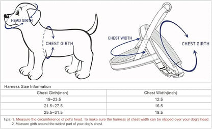 Blueberry Pet 4 Colors Soft & Comfy 3M Reflective Jacquard Padded Dog Harness, Chest Girth 25.5" - 31.5", Palace Blue, M/L, Adjustable Harnesses for Dogs