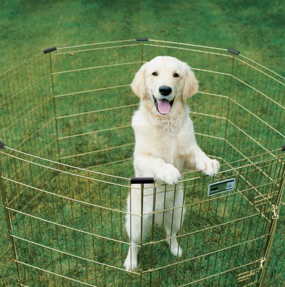 MidWest Homes for Pets 30-Inch Exercise Pen, for Indoor and Outdoor Use, 16 Sq Feet of Play, Single Door Folding Dog Pen, with Large Door Opening & Secure Latch, Easy to Set Up, Foldable Dog Playpen
