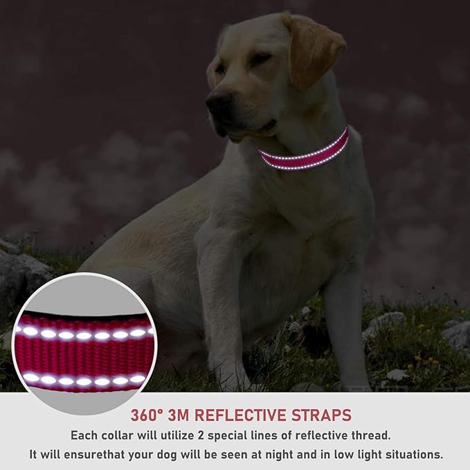Reflective Dog Collar with Buckle Adjustable Safety Nylon Collars for Small Medium Large Dogs, Red XXS