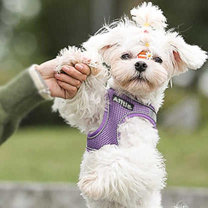 AIITLE Step in Dog Harness and Leash Set - No Pull Escape Proof Vest Harnesses with Soft Mesh and Reflective Bands, Adjustable Pet Outdoor Harnesses for Small and Medium Dogs Purple M