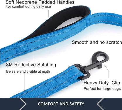 Plutus Pet Double Handle Dog Leash 5ft, Heavy Duty, Reflective Dual Handle Dog Leash for Safety Training, for Medium Large Dogs,2 Handle Leads(Blue)