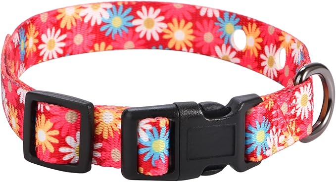 Rhea Rose 3/4 Inch Replacement Collar Strap Shock Collar with 2 Holes, Compatible with Nearly All Brands and Models of Underground Electric Dog Fences and Training Collars, Red Daisy