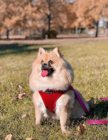 Puppia Soft Dog Harness, Wine, Large (PDCF-AC30-WN-L)