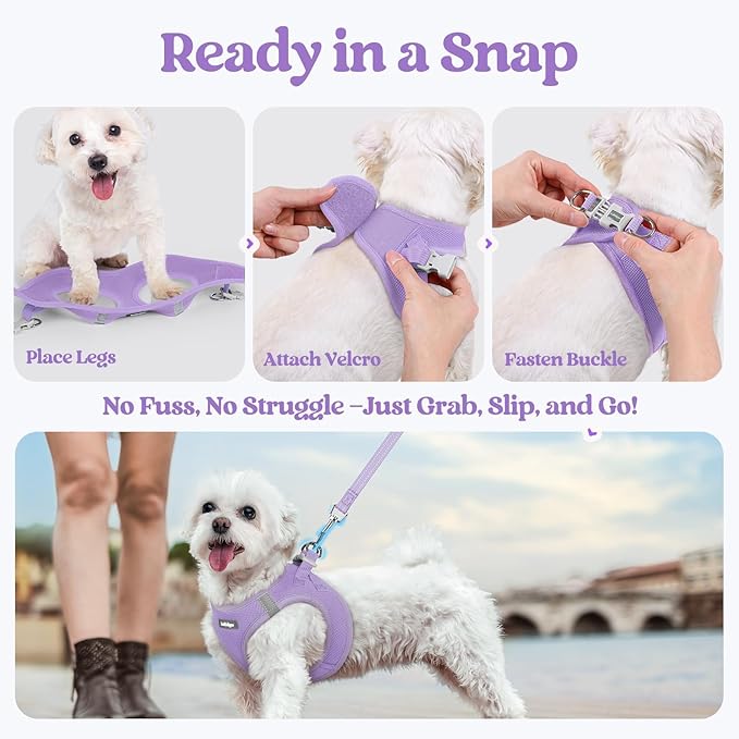 rabbitgoo Dog Harness Medium Sized and Leash Set, Step in Soft Light Puppy Vest, Breathable Mesh Pet Harness, Reflective for Safe Easy Walking, Light Purple XXL