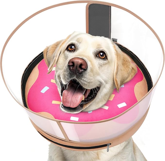 Inflatable Dog Cone with Transparent Shield, Protective Dog Donut Collar After Surgery to Stop Licking, Soft Donut Cone for Large Pets, Adjustable Recovery Collar with Buckle Visibility