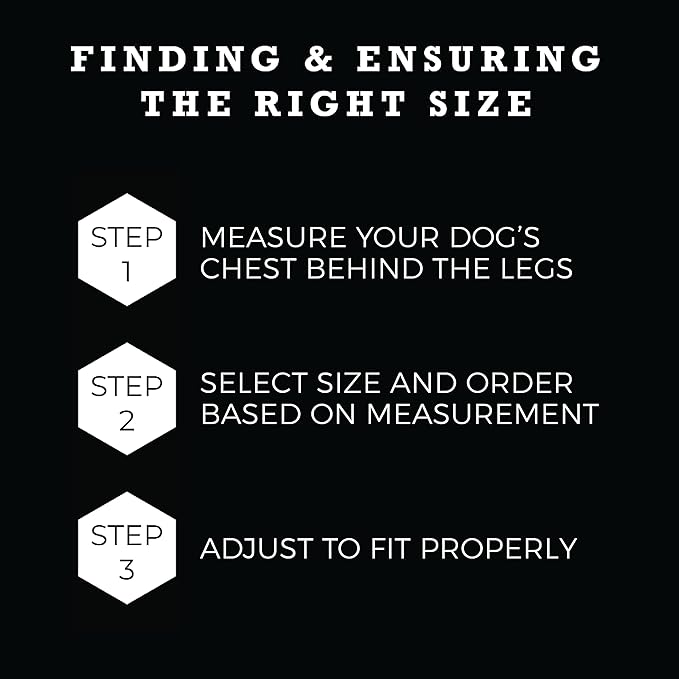 Wolfgang Heavy Duty Adjustable Dog Harness, Pull-Tested to Over 800 lbs for Walking & Training, DigitalDog Print, Small