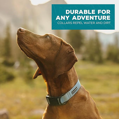 Wilderdog Waterproof Dog Collar - Repels Water & Dirt - Large 17"-24" - Saltwater