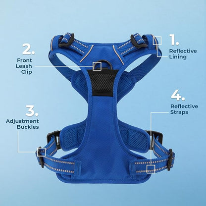 Voyager Dog Harness Dual Leash Attachment No-Pull Control Adjustable Soft but Strong Pet Harness for Medium and Large Dogs with 3M Reflective Technology, Leash Set Royal Nylon, XL (Chest: 28-37")