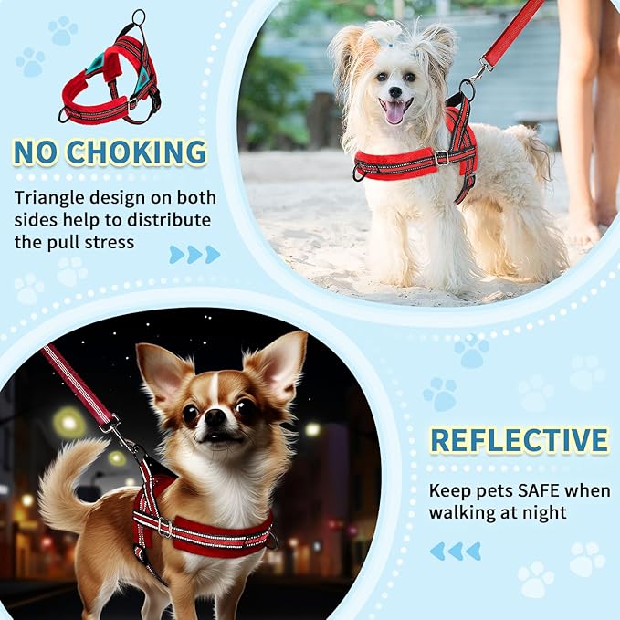 SlowTon No Pull Small Dog Harness and Leash Set, Puppy Soft Vest Harness Neck & Chest Adjustable, Reflective Lightweight Harness & Anti-Twist Pet Lead Combo for Small Medium Dogs (R-Front Clip,XS)