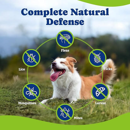 Flea & Tick Prevention for Dogs Chewables, YoYoBay Natural Dog Fleas and Ticks Control Supplement, Dogs Supplement, Natural Shield 5-in-1 Protection, Lamb & Apple Flavor, 180 Soft Chews