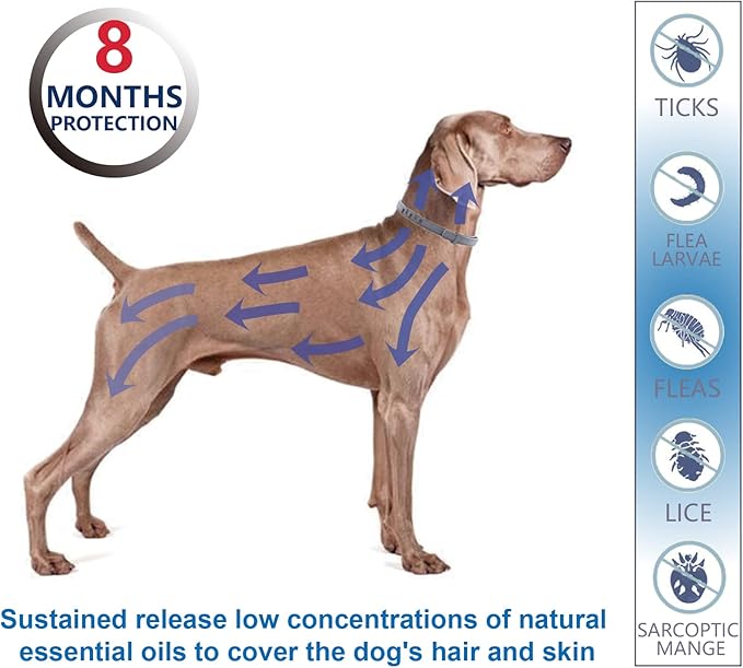 Flea and Tick Collar for Large Dogs, 1‑Pack | Dual‑Action Protection with Built‑in Repellent Drops, 8‑Month Waterproof Design | Natural Essential Oils, No Harsh Chemicals