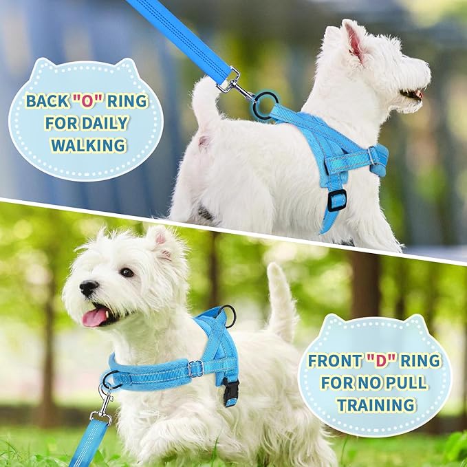 Lukovee No Pull Dog Harness and Leash Set, Soft Padded Small Dog Harness, Neck & Chest Adjustable Reflective Vest Puppy Harness with 4ft Lightweight Anti-Twist Dog Leash for Small Dogs (LBL, XXS)