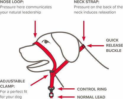Beaphar | Gentle Leader | Head Collar for Medium Dogs | Stops Pulling On The Lead | Training Aid with Immediate Effect | Endorsed by Behaviourists | Red x 1