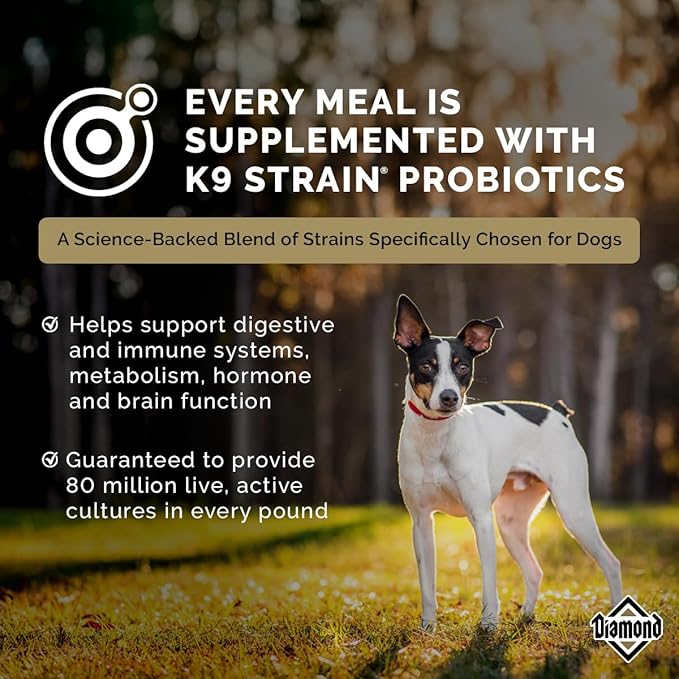 Diamond Premium All Life Stages Dry Dog Food 26/18 for Active, Athletic & Sporting Dogs 6lb Bag