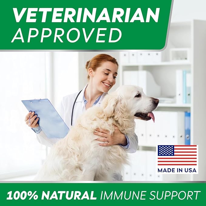 StrellaLab Dog Allergy Relief & Anti Itch Support Chews w/Omega 3: Real Ingredients, Real Taste! Skin & Coat Immune Supplement w/Fish Oil, Pumpkin & Enzymes - Made in USA - 240 Chews