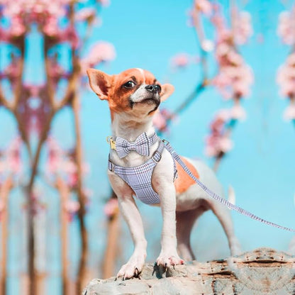 Beirui Cute Extra Small Dog Harness Collar and Leash Set with Bowtie, Soft Adjustable Plaid Puppy Harness for Small Sized Dogs Cats Walks Parties and Photoshoots(Blue,XXS:Chest 12-14")