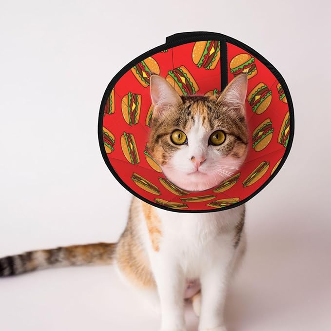 Dog Cones for Puppies and Kittens After Surgery, Stop Licking with Adjustable Elizabethan Collars, Suitable for Small Medium Large Dogs, Burger Hamburger Pattern Red