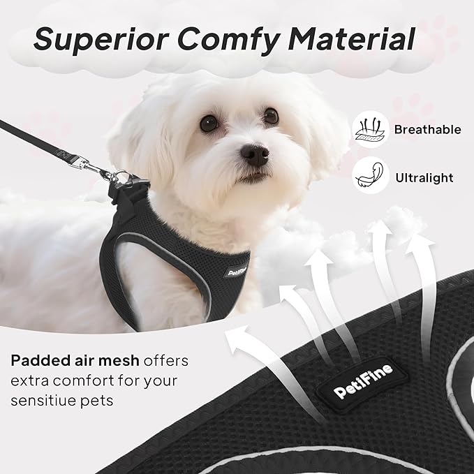 PetiFine Step in Small Dog Harness and Leash Set, Breathable All Weather Air Mesh Reflective Escape Proof, Step-in Vest Harnesses for Puppy(S, Black)