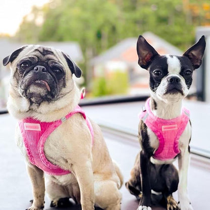 Best Pet Supplies - All Weather Plush, Reflective, No Pull Harness for Small, Medium Dogs, Cats - Secure with Hook & Loop Fastener, Buckle, Double D-Rings - Fuchsia Corduroy, XS