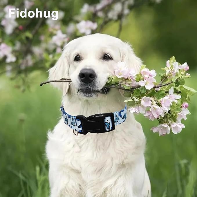 Martingale Collar for Dogs with Buckle Nylon Slip No Pull Training Dog Collars (Blue Butterfly, XSmall)
