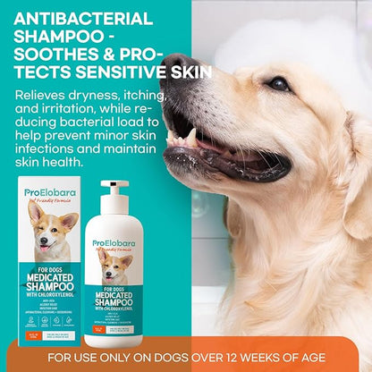 Medicated Dog Shampoo for Allergies and Itching: Antifungal Dog Shampoo, Yeast Infection and Bacterial Treatment for Dogs - Helps Hot Spots, Deodorizing and Anti Itch - Healthy Skin & Coat (Pack of 2