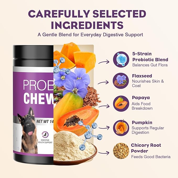 Probiotics for Dogs 200pcs Dog Probiotics for Digestive Health Digestive Enzymes and Prebiotic, Probiotic Chews for Dogs Support Gut Health, Relieve Diarrhea, Itchy Skin, Enhance Immunity
