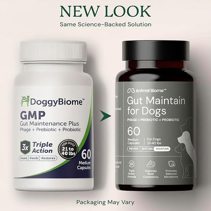 AnimalBiome Gut Maintain Multi-Strain Probiotics for Small Dogs (60 Capsules) – Triple-Action Phage, Prebiotics & Probiotic Dog Supplements for Digestive Health, Gut Health for Dogs Under 21 Pounds