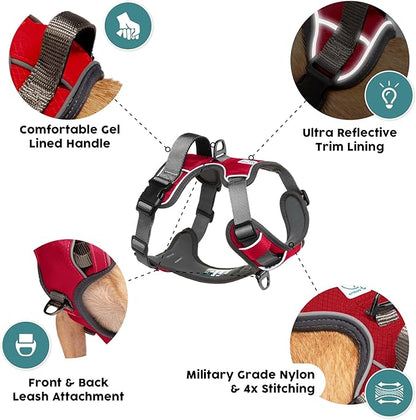 Embark Adventure Small Dog Harness – No-Pull, Reflective Trim, Military-Grade Nylon, Front Clip with Gel-Lined Handle