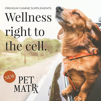 Think Cognitive and Calming Supplement with Collagen and Magnesium - Supports Nervous System Against Stress, Behavioral Challenges, and Cognitive Issues