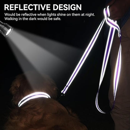 Joytale Dog Leash, 4 FT Double-Sided Reflective, Padded Handle Nylon Heavy Duty Leashes for Small Dogs Walking, Purple