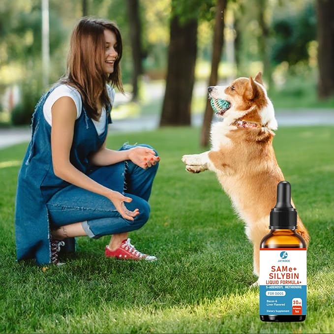 SAMEe for Dogs 500mg Liquid Drops with Silybin – Bacon Liver Flavored Liver Support Supplement for Dogs – S-Adenosyl Methionine & Milk Thistle Extract 60ml (2oz)
