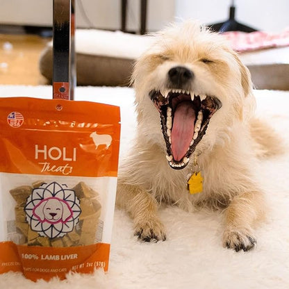 HOLI Freeze Dried Lamb Liver Dog Treats – Single Ingredient Freeze-Dried Dog Treats – Dried Lamb Liver Dog Treats Made in USA – Healthy Liver Treats for Dogs & Diabetic Dog Treat-Friendly - 4oz