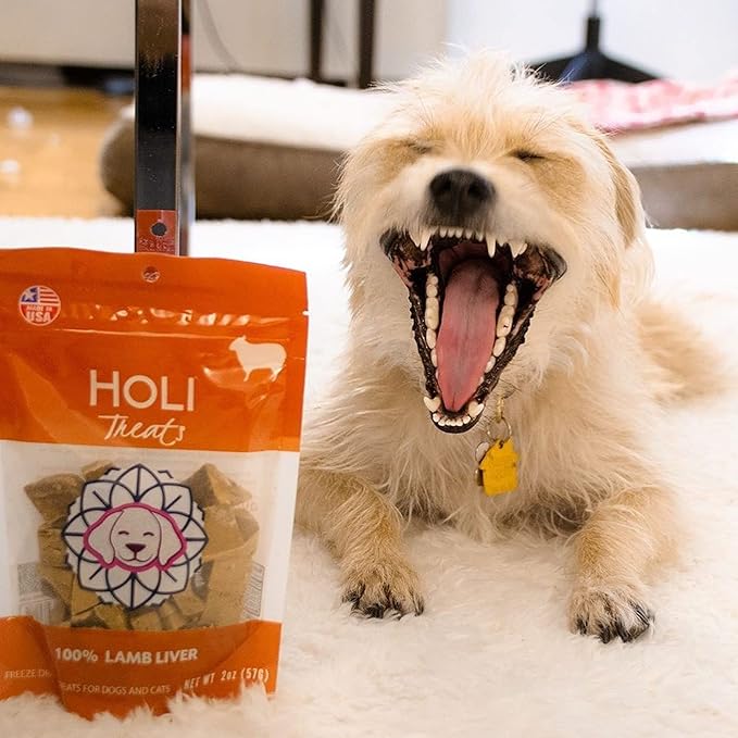 HOLI Freeze Dried Lamb Liver Dog Treats – Single Ingredient Freeze-Dried Dog Treats – Dried Lamb Liver Dog Treats Made in USA – Healthy Liver Treats for Dogs & Diabetic Dog Treat-Friendly - 8oz
