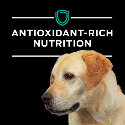 Pro Plan Veterinary Diets Purina EN Gastroenteric Canine Dog Food Dry Formula - 38 lb. Bag