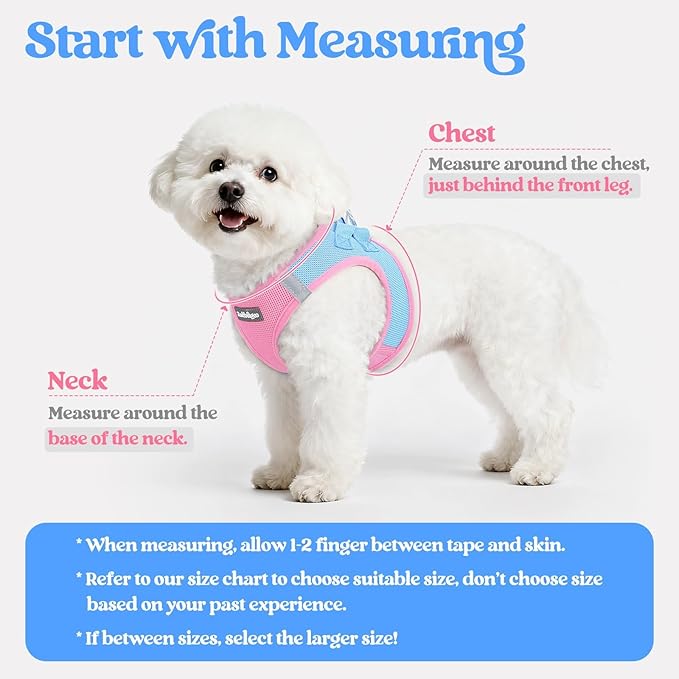 rabbitgoo Dog Harness Small Medium Sized and Leash Set, Step in Soft Light Puppy Vest, Breathable Mesh Pet Harness, Reflective for Safe Easy Walking, Blue & Light Pink L