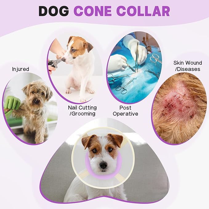 Soft Dog Cone Collar to Stop Licking-Adjustable Comfortable Mesh Recovery Collars After Surgery for Small Miniature Dogs, Alternative to Plastic Elizabethan Collar for Neuter Incision Care (Purple,M)