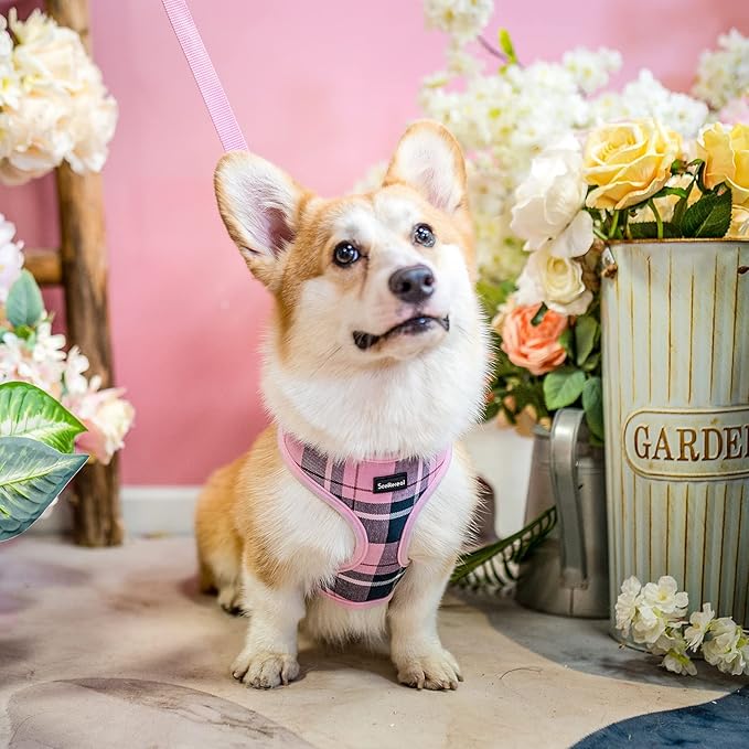 SCENEREAL Puppy Dog Harness with Leash Set for Small Medium Sized Dogs, Soft Mesh Pet Harnesses and Leash, No Chock Plaid Adjustable No Pull Vest for Dogs Cats, Chihuahua,Bulldog (Pink XS)