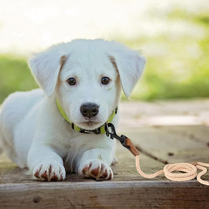 Mile High Life Dog Leash, Braided Cotton Rope Leashes with Leather Tip - Heavy Duty Metal Clasp, 4FT, 1/3" Thick - Wedding, Walking Leash for Small Medium Dogs(Light Brown)