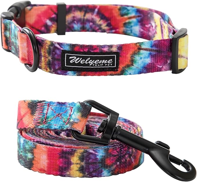 Dog Collar and Leash Set for XSmall Small Medium Large Dogs, Rainbow Stripes, Tie Dye Dog Collar (S(9.9''-11.8''))