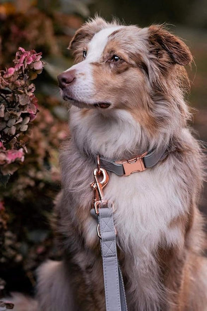 Soft Leather Dog Collar and Leash (6.6') Set - Stylish Rose Gold Heavy Duty Metal Buckle, 4 Adjustable Lengths Leash for Small Medium Large Dogs - Comfortable & Easy to Clean Grey L(15.4"-24.8")